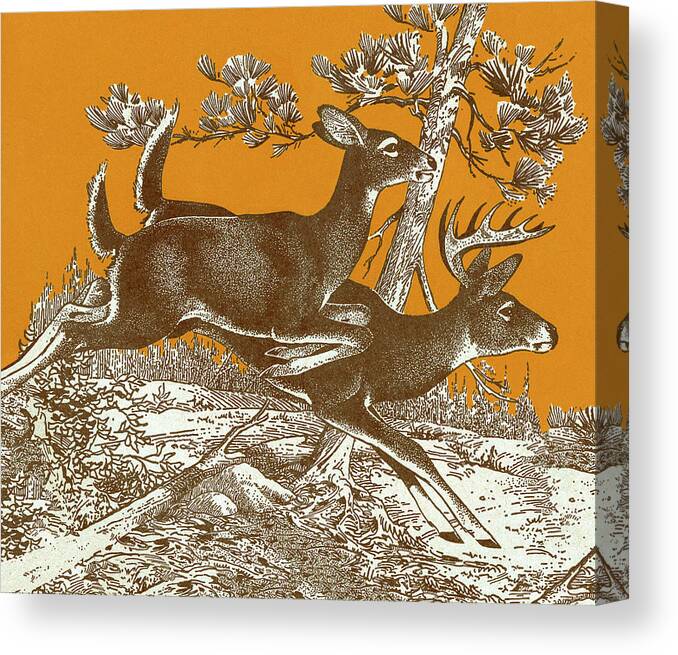 Activity Canvas Print featuring the drawing Deer Running #1 by CSA Images