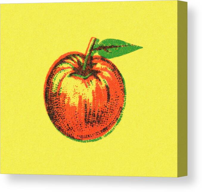Apple Canvas Print featuring the drawing Apple by CSA Images