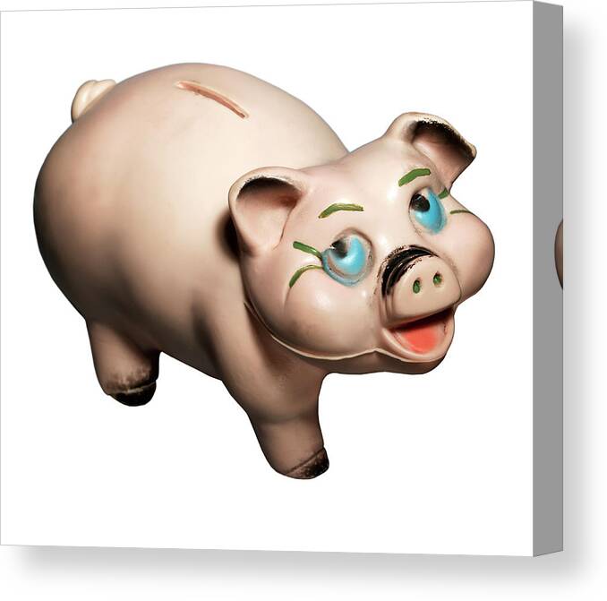 Animal Canvas Print featuring the drawing Piggy Bank #19 by CSA Images