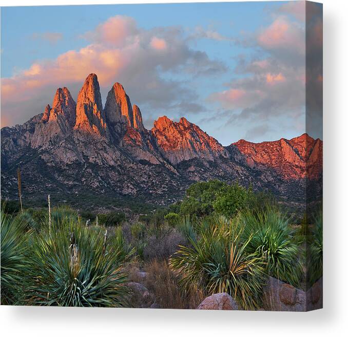 00557650 Canvas Print featuring the photograph Organ Moutains, Aguirre Spring by Tim Fitzharris