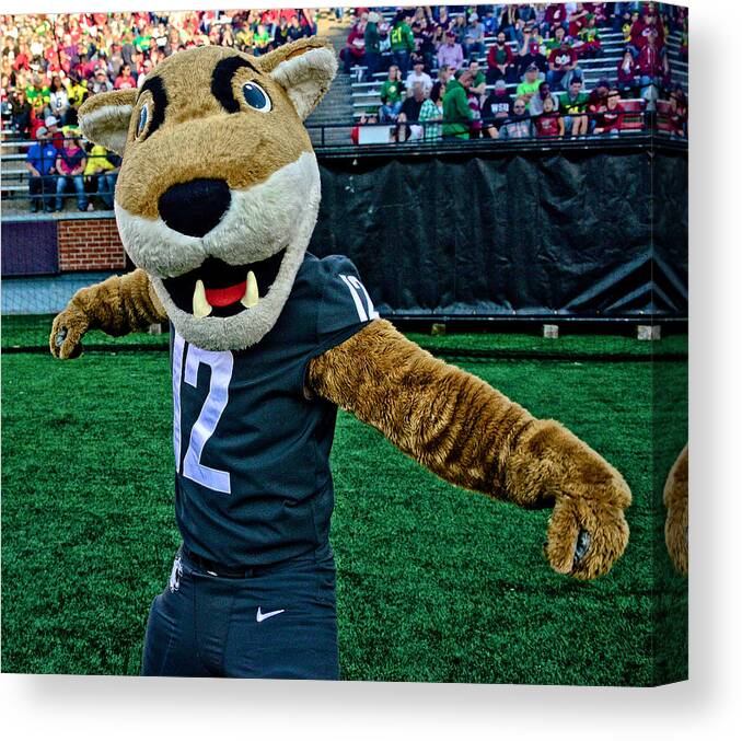 Cougars Canvas Print featuring the photograph Butch Hugs by Ed Broberg