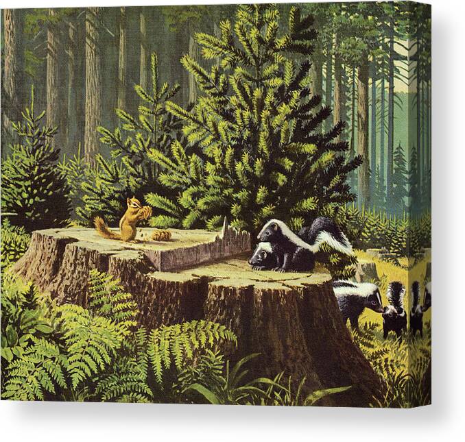 Animal Canvas Print featuring the drawing Chipmunk and Skunks in the Forest by CSA Images