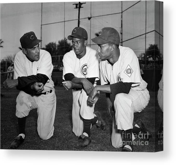 People Canvas Print featuring the photograph Cubs Manager Talking With Players by Bettmann