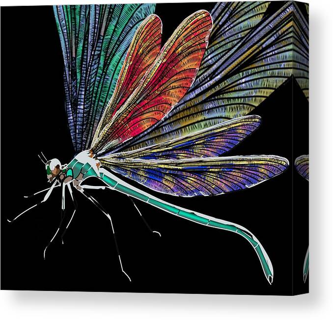 Dragonfly Canvas Print featuring the drawing DragonFly Multi Wing by Joan Stratton