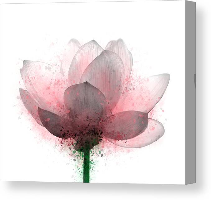 Flower Canvas Print featuring the digital art Flower 6 by Lucie Dumas