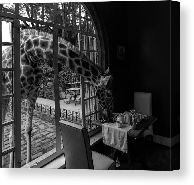 Animals Canvas Print featuring the photograph Giraffe Manor In Kenya by Jie Fischer