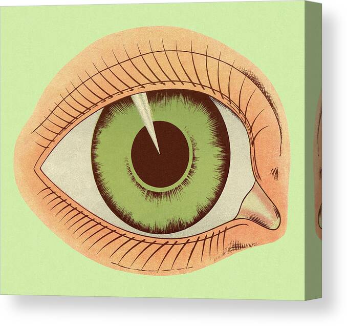 Anatomical Canvas Print featuring the drawing Green Eye by CSA Images