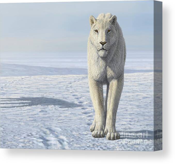 African Canvas Print featuring the photograph Homotherium Sabretooth Cat In The Arctic by Mauricio Anton/science Photo Library
