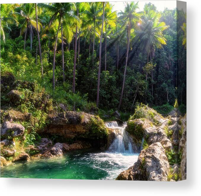 Philippines Canvas Print featuring the photograph Let's Take a Dip by Russell Pugh