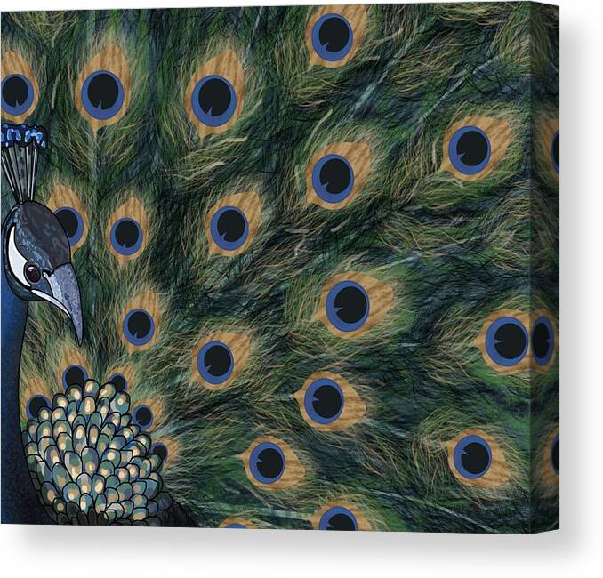 Portrait Canvas Print featuring the drawing Peacock Fan by Joan Stratton