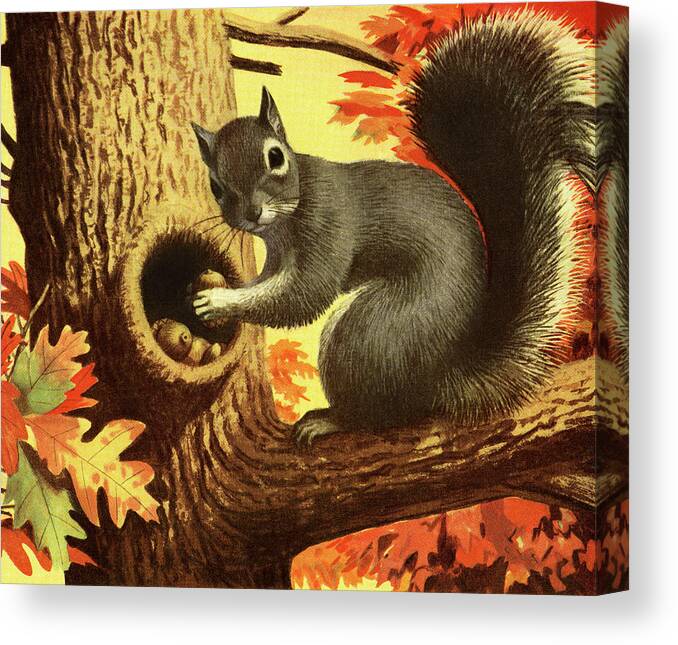 Acorn Canvas Print featuring the drawing Squirrel Storing Nuts by CSA Images