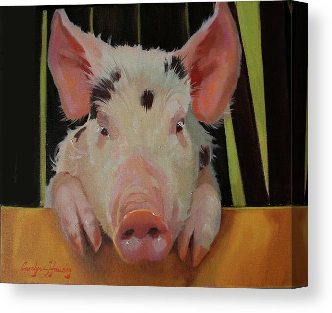 Farm Animals Canvas Print featuring the painting Take Me I'm Yours by Carolyne Hawley