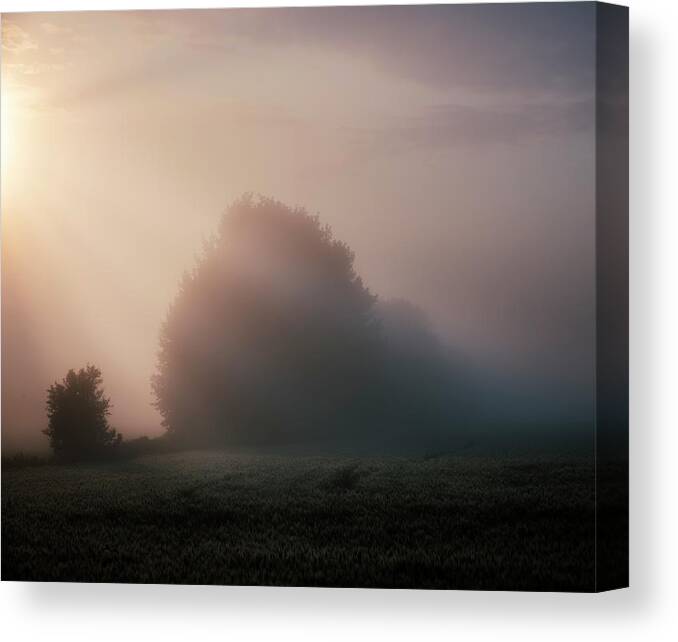 Fog Canvas Print featuring the photograph The Beginning of Autumn by Dan Jurak