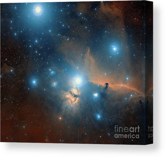 Alnitak Canvas Print featuring the photograph The Horse Head And Flame Nebulae In Orion by Davide De Martin/science Photo Library