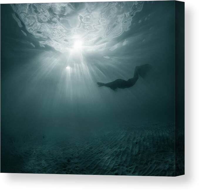 Mermaid Canvas Print featuring the photograph They Exist by Andrey Narchuk