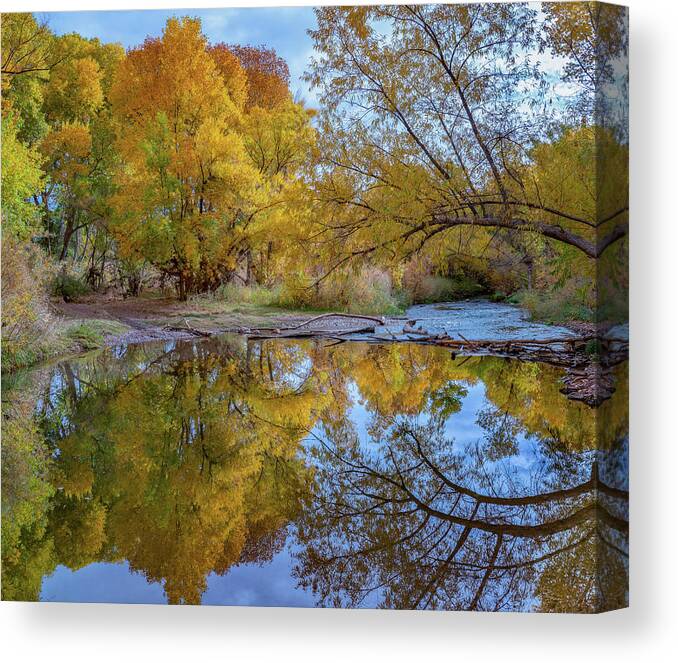 Tim Fitzharris Canvas Print featuring the photograph Verde River near Camp Verde, Arizona, USA #3 by Tim Fitzharris