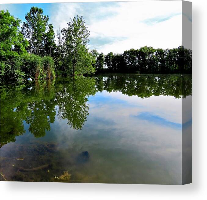 Beaver Pond Canvas Print featuring the photograph Beaver Pond at Palmyra Nature Cove by Linda Stern