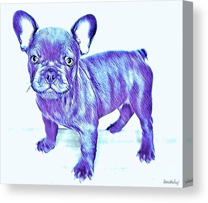 Blue French Bulldog. Frenchie. Dog. Pets. Animals. Canvas Print featuring the digital art Da Ba Dee by Denise Railey