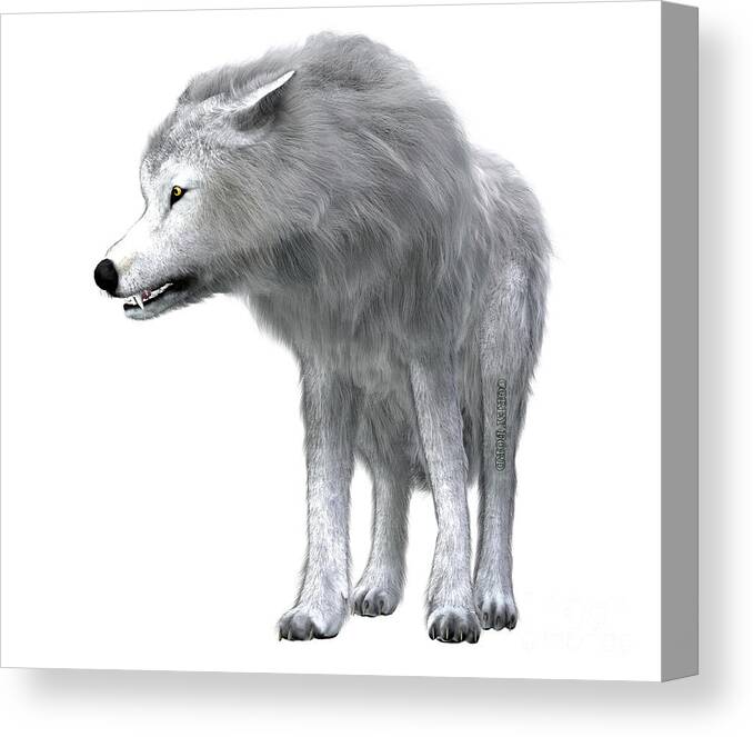Dire Wolf Canvas Print featuring the digital art Dire Wolf Pack Leader by Corey Ford