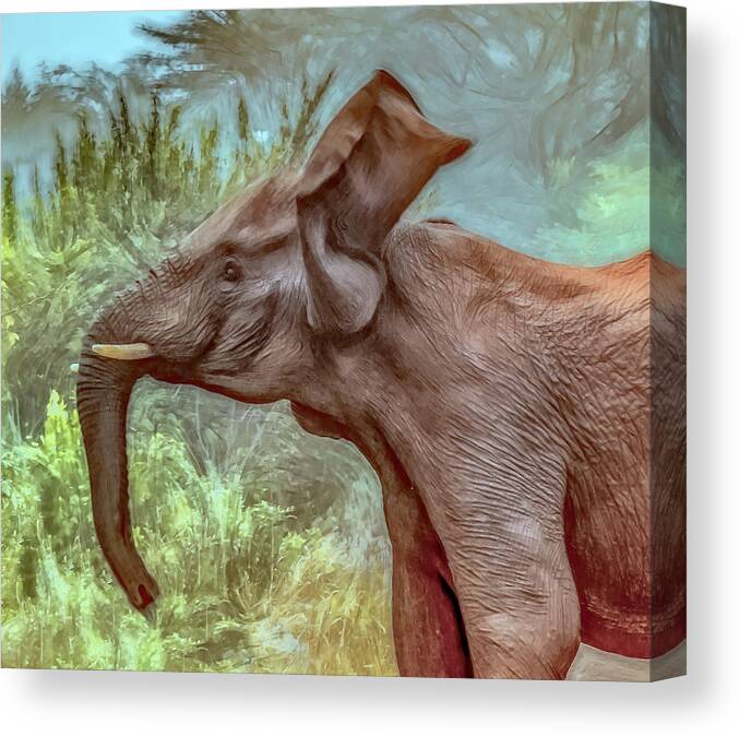 South Africa Canvas Print featuring the photograph Elephant Joy, Painterly by Marcy Wielfaert