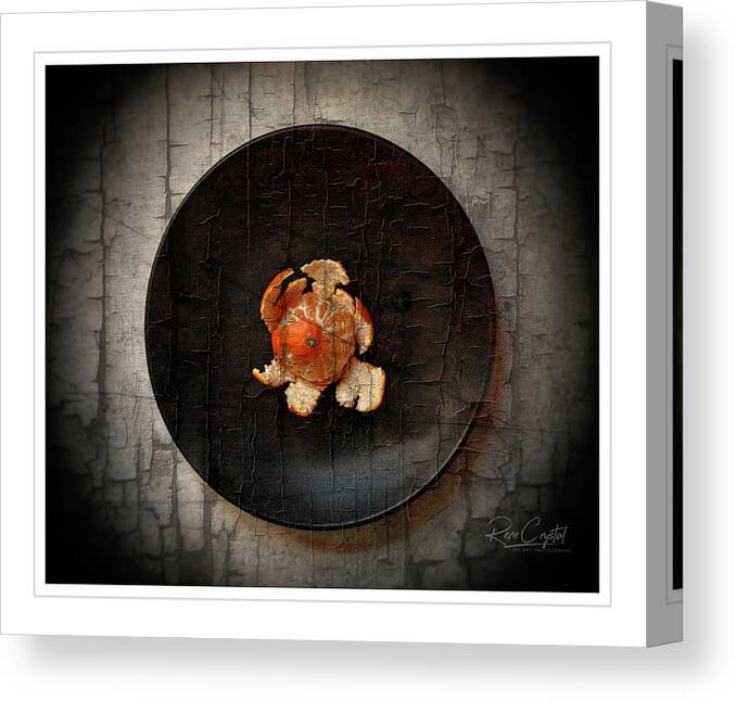 Still Life Canvas Print featuring the photograph Exposed by Rene Crystal