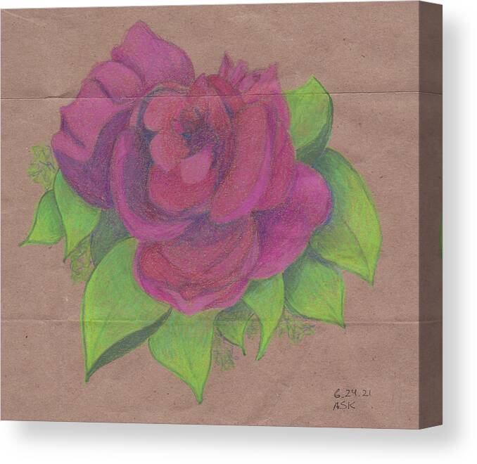 Rose Canvas Print featuring the drawing Finding the Extraordinary by Anne Katzeff
