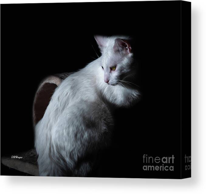 Pets Canvas Print featuring the photograph From The Dark by DB Hayes