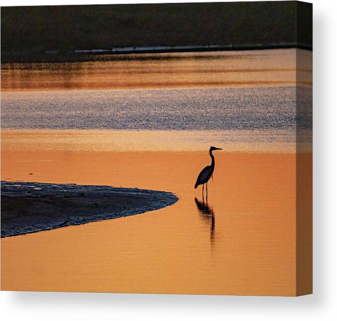 Sunrise Canvas Print featuring the photograph Golden Morning by Jerry Connally