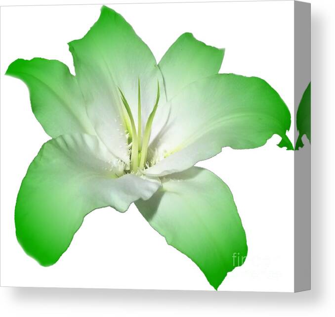 Green Canvas Print featuring the photograph Green Lily Flower by Delynn Addams