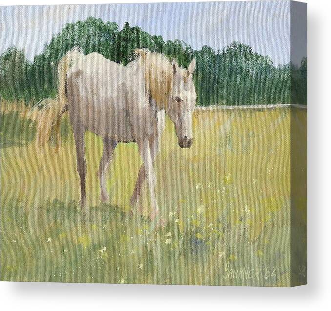 Horse Canvas Print featuring the painting Okie Horse by Robert Sankner