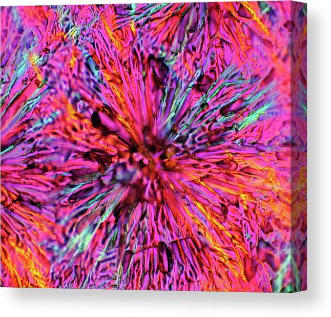 Crystals Canvas Print featuring the photograph Poppies Of Doom by Hodges Jeffery