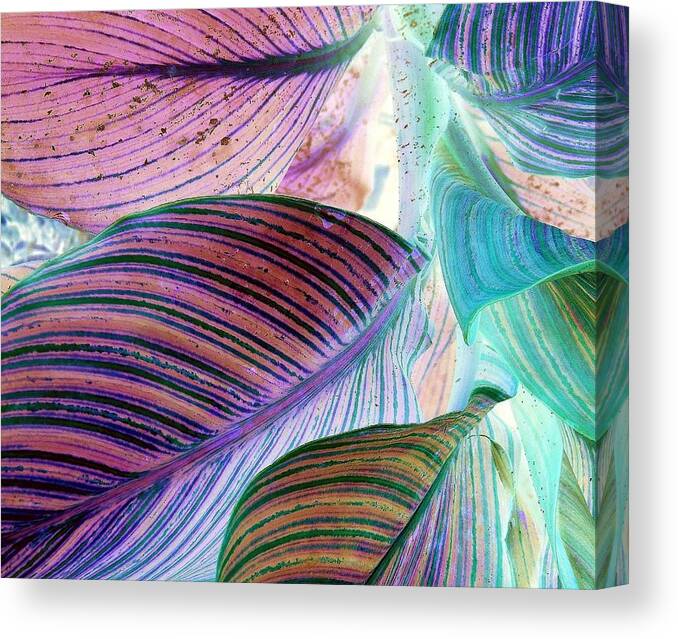 Surreal-nature-photos Canvas Print featuring the digital art Robust 2 by John Hintz