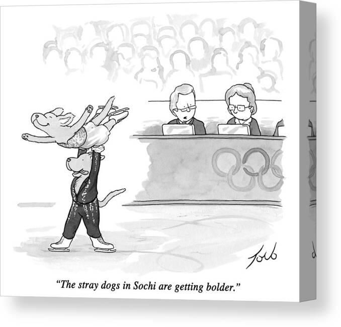 Olympics Canvas Print featuring the drawing Stray Dogs In Sochi by Tom Toro
