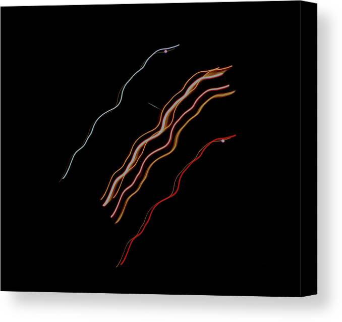 Light Canvas Print featuring the photograph Streaks of Light - Departing Flight by Christopher Reed