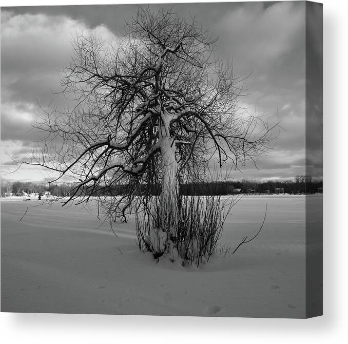 Snow Canvas Print featuring the photograph The calm after the storm by Carl Marceau