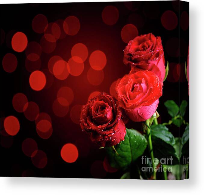Roses Canvas Print featuring the photograph Valentine Roses by Jelena Jovanovic