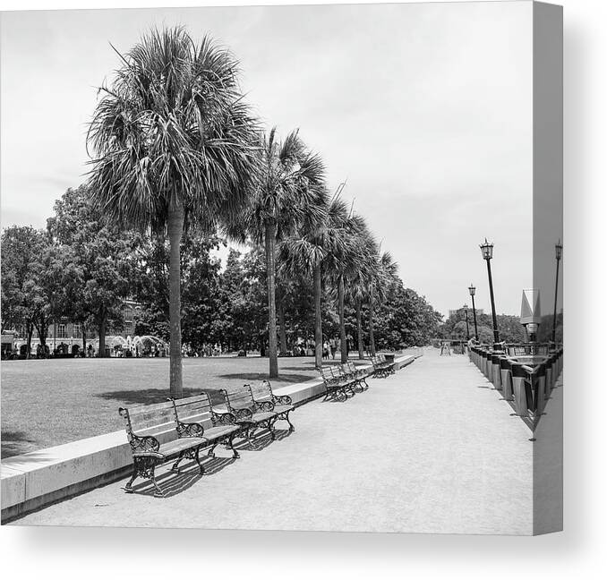 Downtown Charleston Canvas Print featuring the photograph Waterfront Park Black And White by Dan Sproul