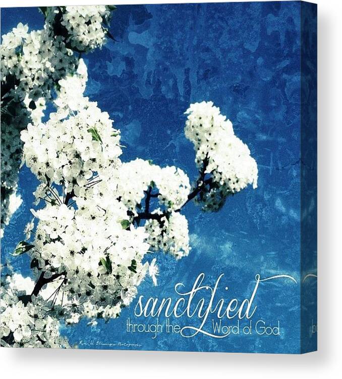 Godisgood Canvas Print featuring the photograph || Sanctified {through The Word Of God} by Traci Beeson