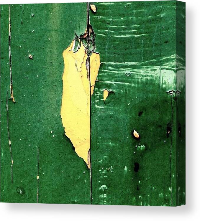 Minimalove Canvas Print featuring the photograph The Yellow Pepper by Kreddible Trout