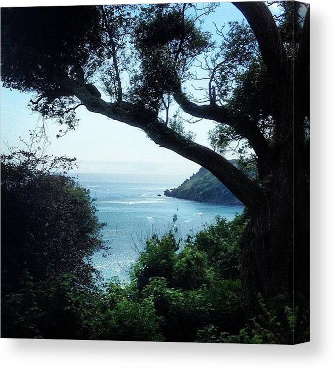  Canvas Print featuring the photograph A Sea View, Devon, Uk #1 by Abigail Stafford