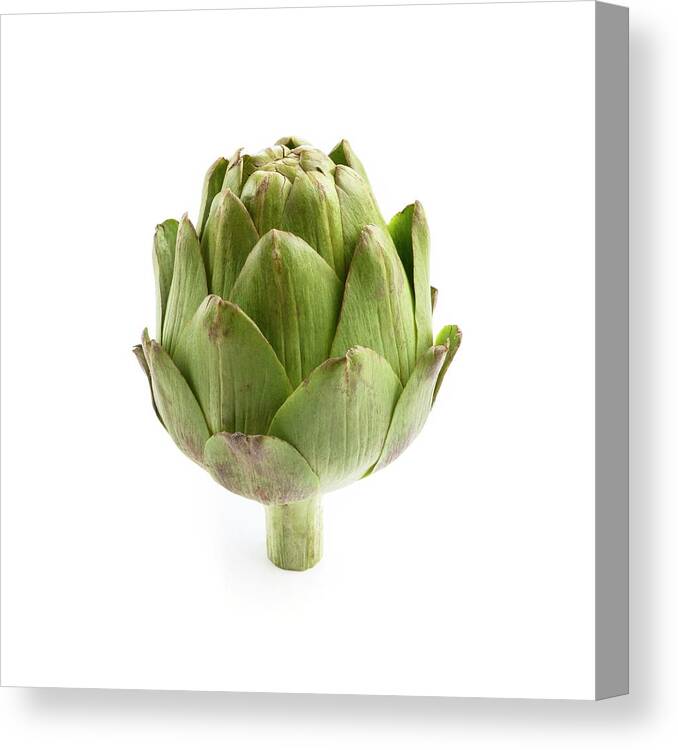 Close Up Canvas Print featuring the photograph Artichoke #1 by Science Photo Library