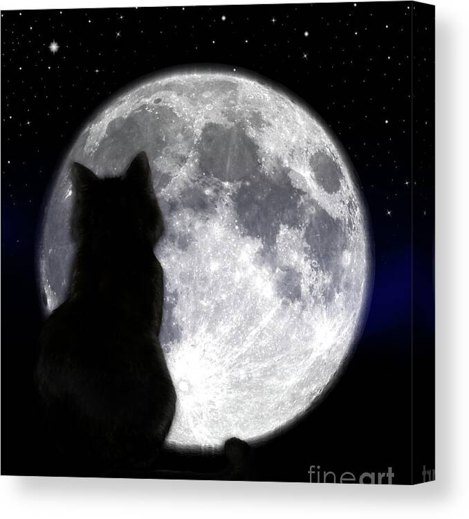 Cat Canvas Print featuring the photograph Black Cat And Full Moon #1 by Nina Ficur Feenan
