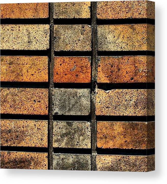 Textures Canvas Print featuring the photograph Brick Wall #1 by Elisa Franzetta