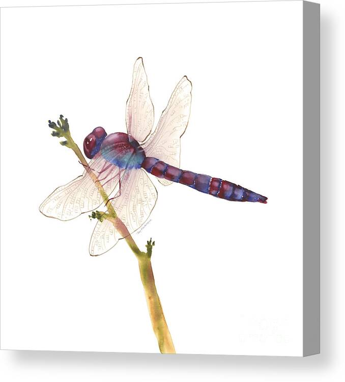Burgundy Canvas Print featuring the painting Burgundy Dragonfly by Amy Kirkpatrick