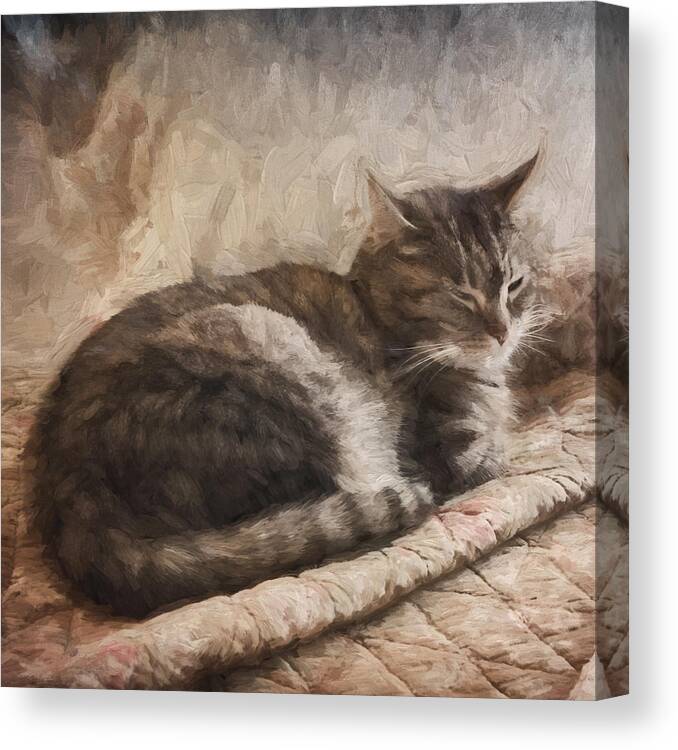 Cat Canvas Print featuring the mixed media Cat on the Bed Painterly #2 by Carol Leigh