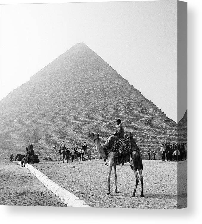 Webstagram Canvas Print featuring the photograph #egypt #giza #all_shots #ace_ #1 by Caro Amtmann