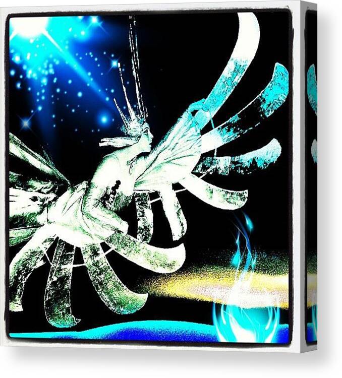 Beautiful Canvas Print featuring the photograph Flight Of The Snow Queen #1 by Urbane Alien