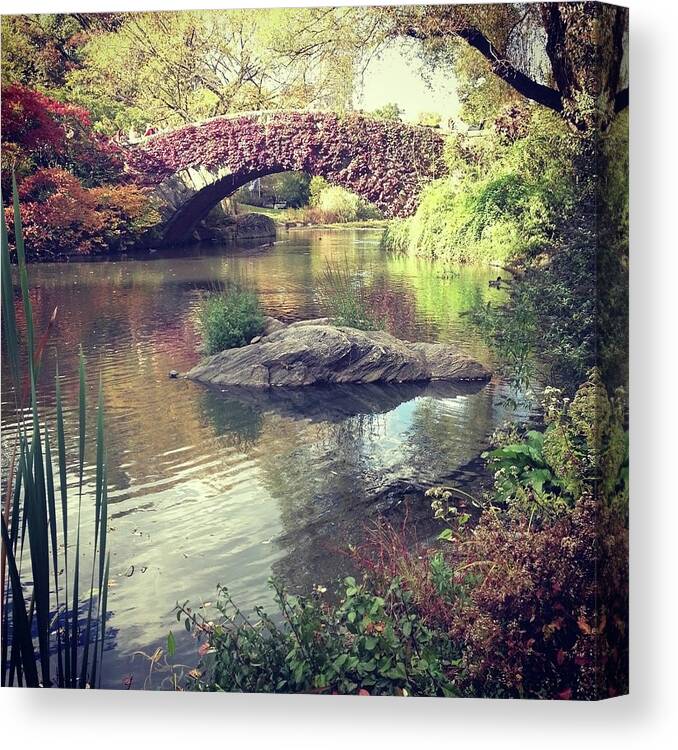 Water's Edge Canvas Print featuring the photograph Gapstow Bridge In Central Park New York #1 by Magnez2