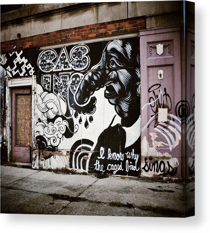 Graffiti Canvas Print featuring the photograph I Know Why the Caged Bird Sings #2 by Natasha Marco