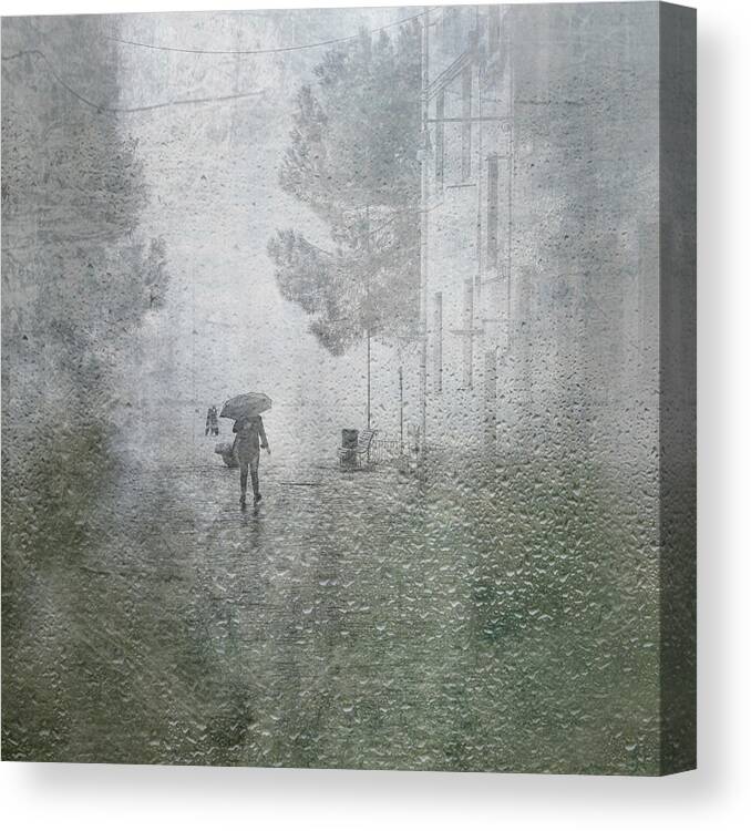 Rain Canvas Print featuring the photograph It's Raining by Anette Ohlendorf